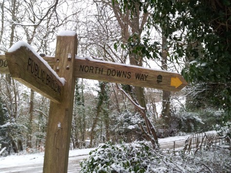 I have missed running on the Downs