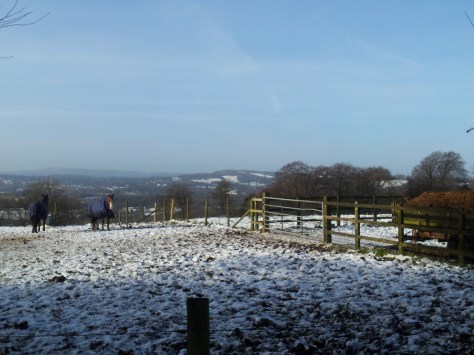 You could see for miles