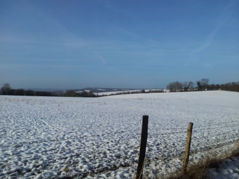 Another shot of the view