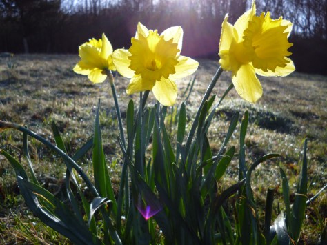 Spring is most certainly here