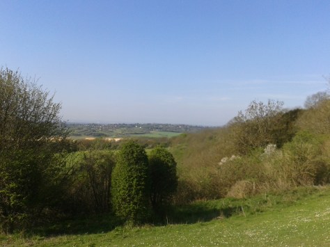 Such a good day for a run