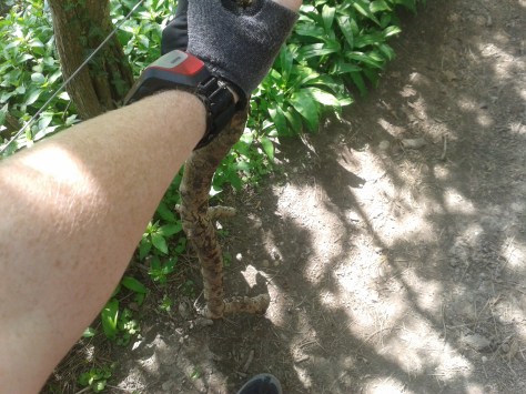 My makeshift crutch to get me home