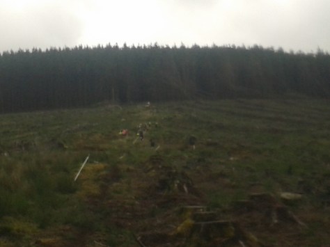 Heading on up into the trees