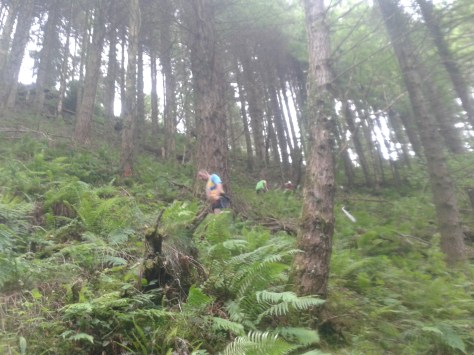 This is pretty steep, both the marathon runners and half marathon runners had to tackle this beast