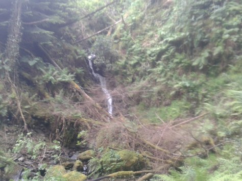 Another shot of the surroundings