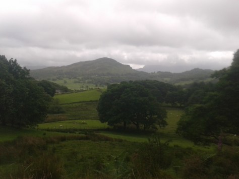 Just stopping to take a photo and absorb the beauty of the surroundings