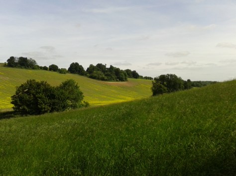 I love the rolling fields