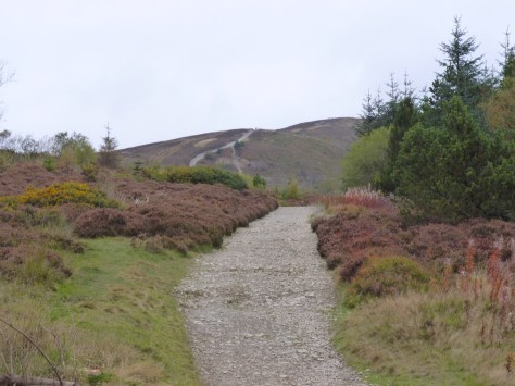 Still more up, quite the hill this one