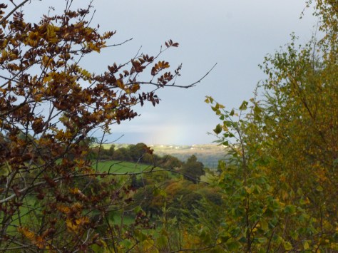 Tried to get the shot of the rainbow
